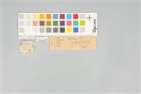 五色鳥藏品圖，第12張